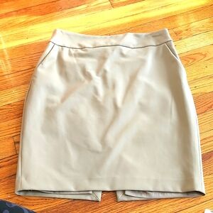 Express Pencil Skirt